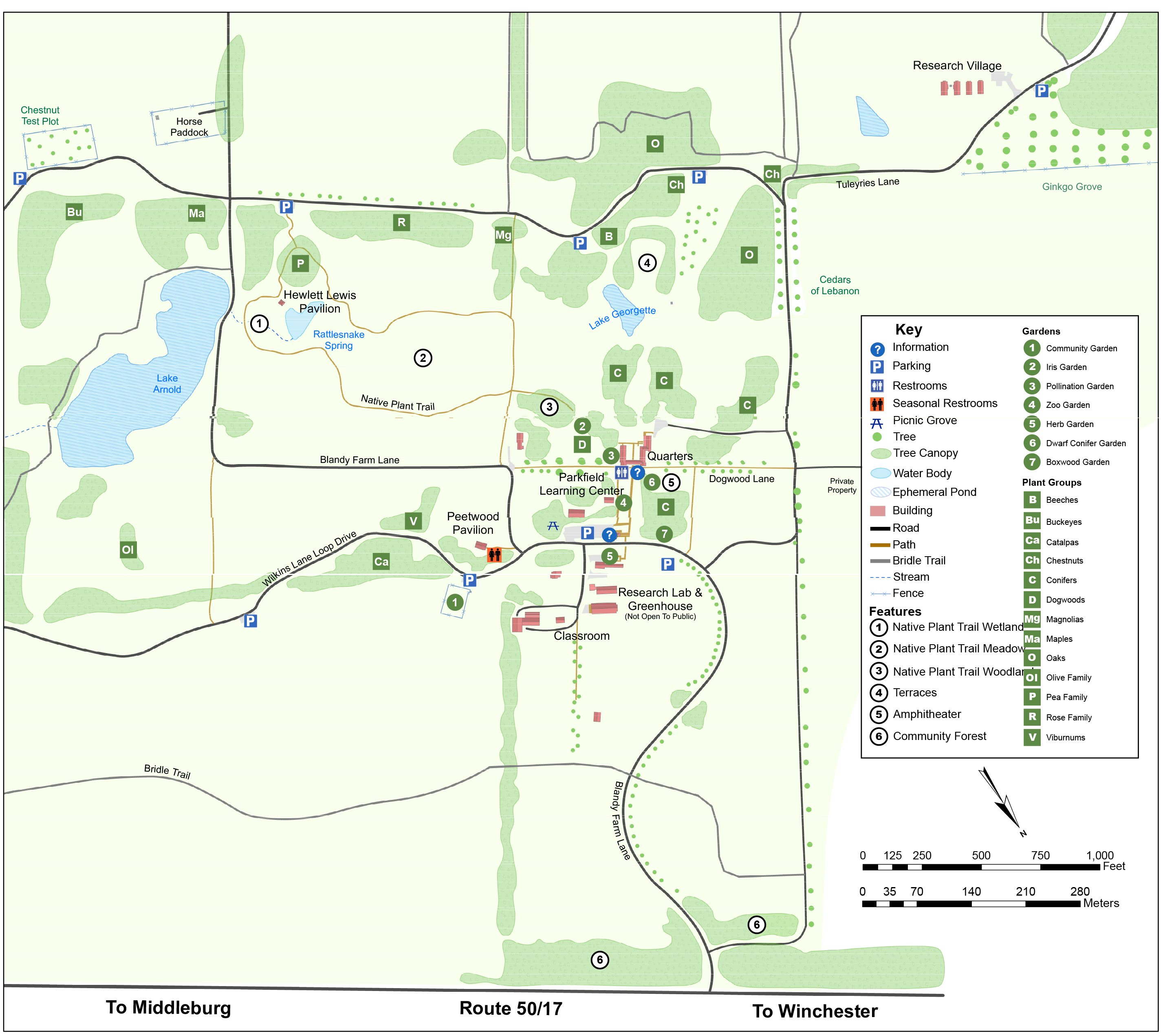 Orientation Map