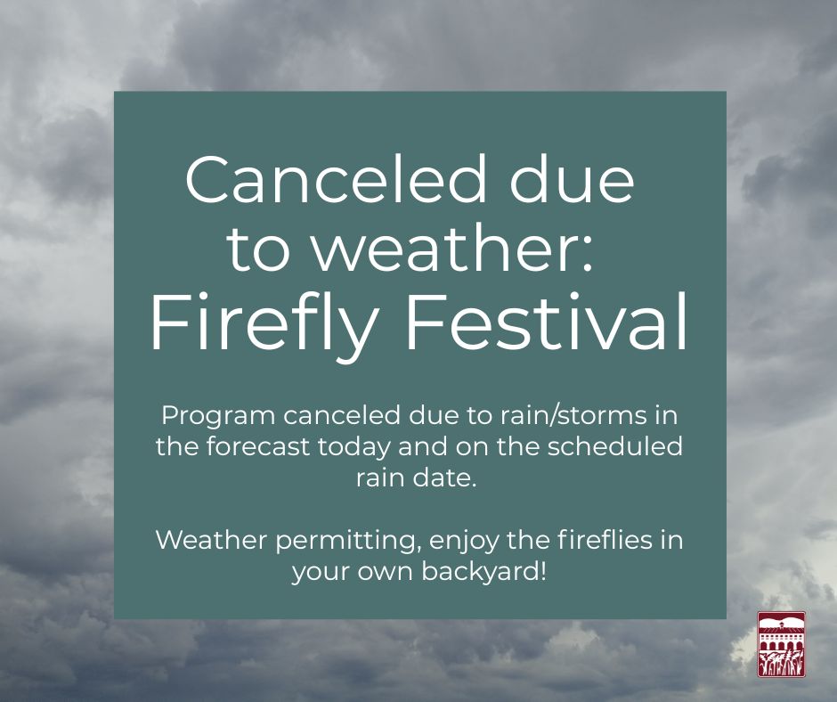 Firefly Festival canceled