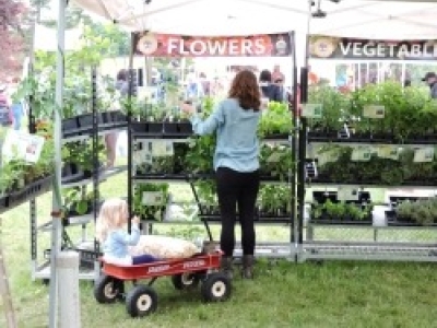 2019GardenFair-7131.jpg