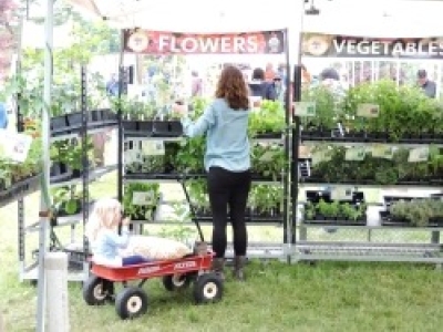 2019GardenFair-7132.jpg