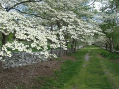 Arboretum walking tour.jpg