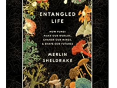 Entangled