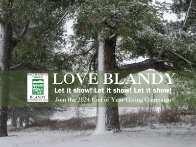 Make A Year-End Gift with Local and Global Impact