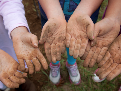 Helping hands grow community forest.