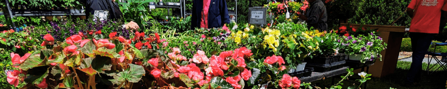 Nursery Discounts for Members