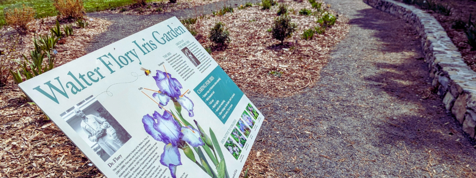Walter Flory Memorial Iris Garden