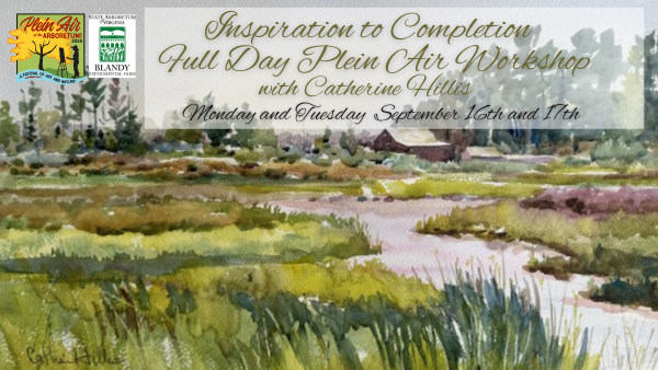 Plein Air start to finish