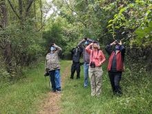 Bird Walk September 2020