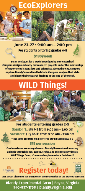 2025 Summer Camps at Blandy