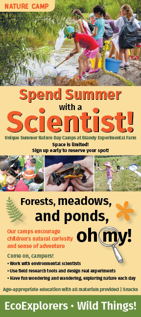 2025 Summer Camps at Blandy