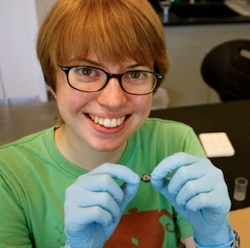 Undergraduate Clara Stuligross holds up a bumble bee after super-gluing an RFID tag to its thorax