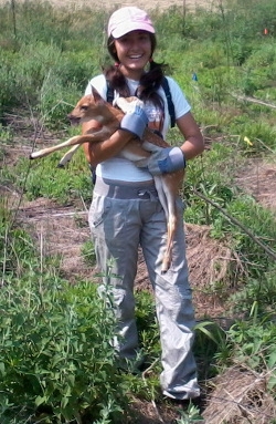 Undergraduate Johanna Nifosi removes a fawn from inside her deer exclosure