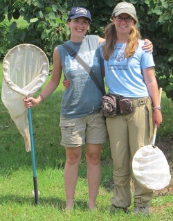Former graduate student Rosemary Malfi and undergraduate Staige Davis go bee hunting