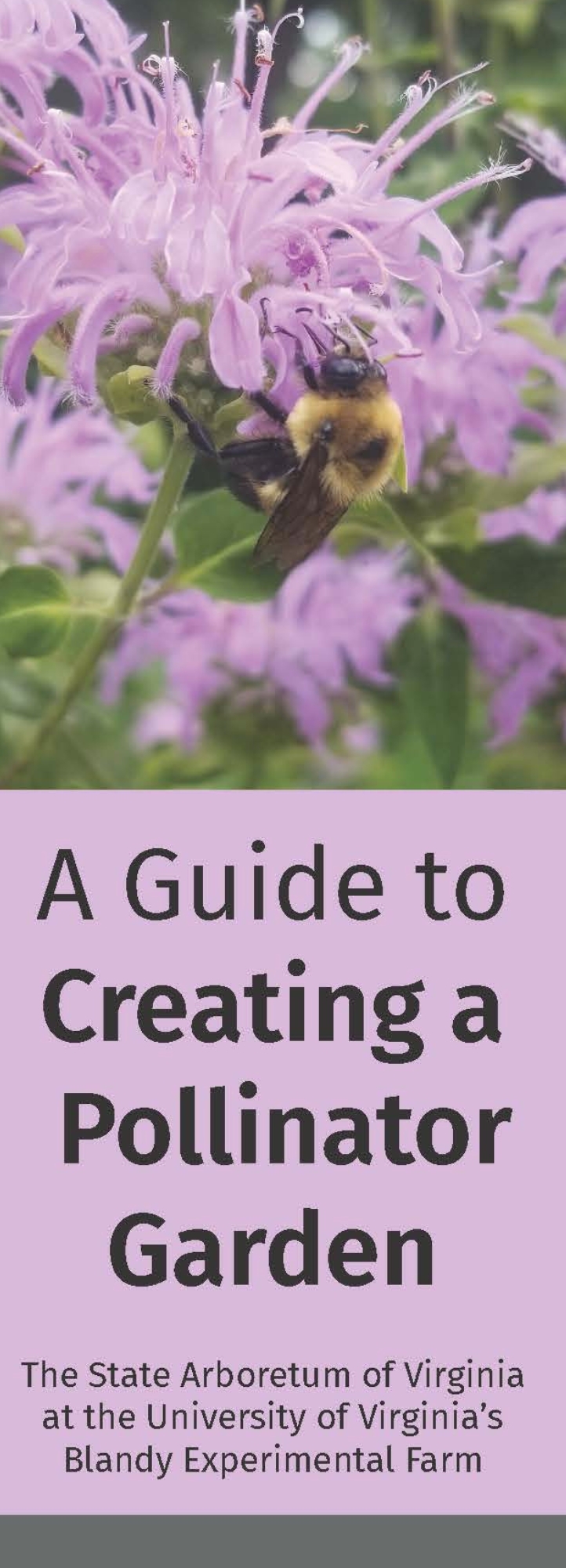 A Guide to Creating a Pollinator Garden