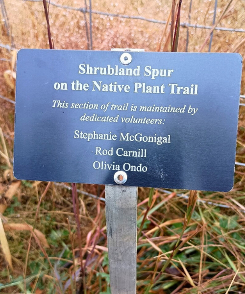 Shrubland volunteers