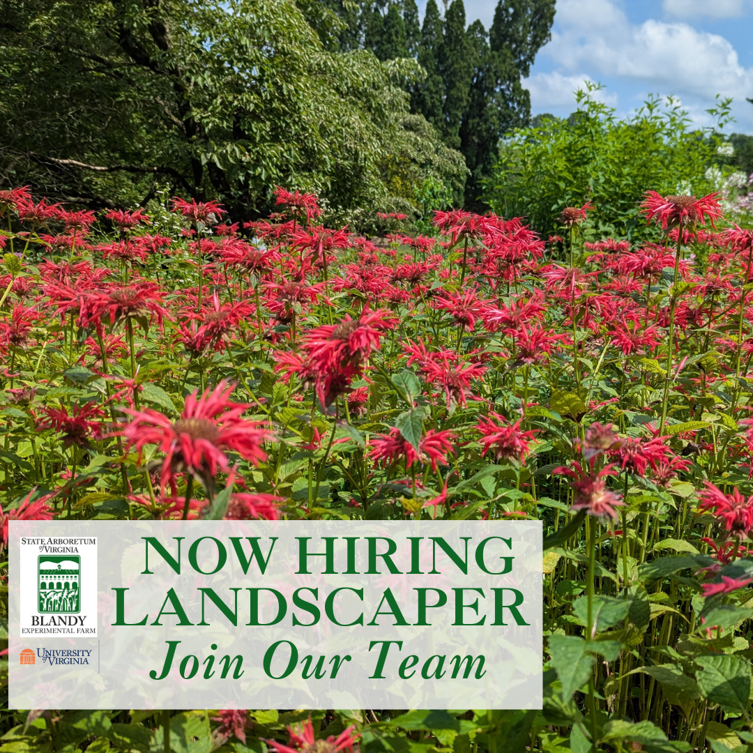 Now hiring landscaper