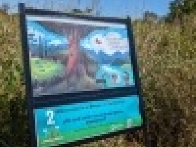 Fall 2023 StoryWalk.jpg