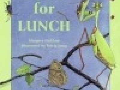 Come Explore Our New STORYWALK®