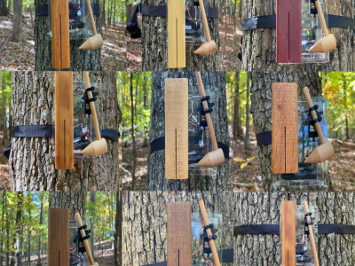 "Murmuration" sound installation coming to Blandy! This weekend only!