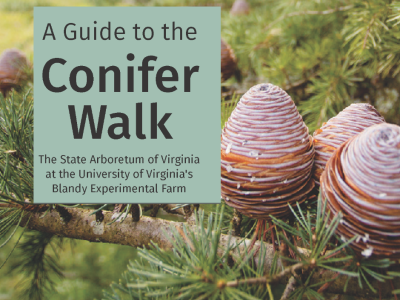 A Guide to the Conifer Walk Brochure